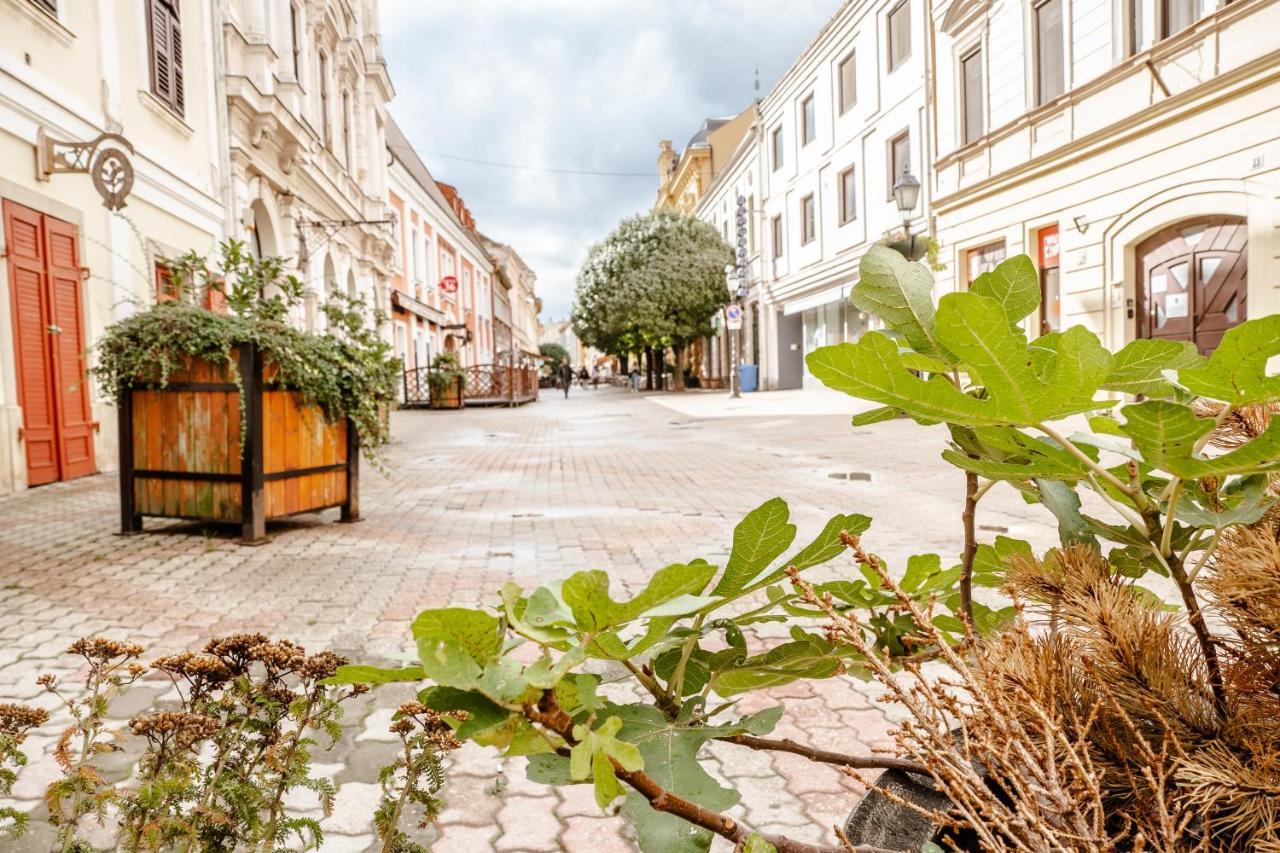 Kiraly40 Apartman Печ Екстериор снимка